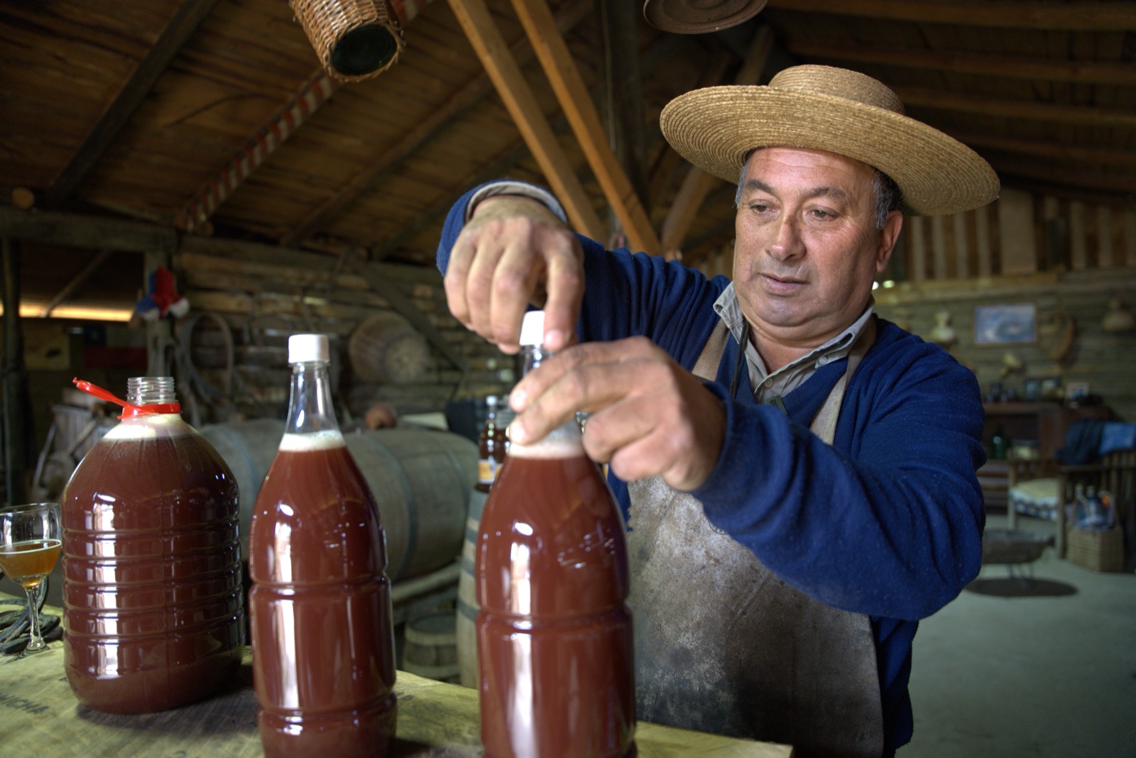 Elaboración artesanal de chicha en Chicha Daine, en el valle de Curacaví