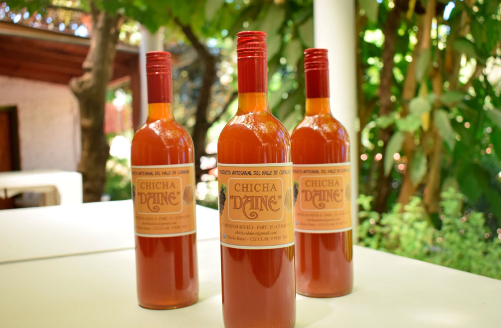 Botellas de chicha artesanal Daine, producto del valle de Curacaví