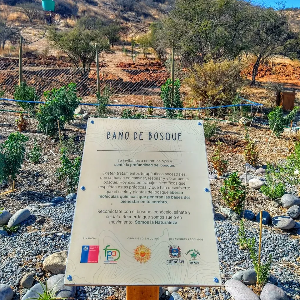 Parque San Mateo