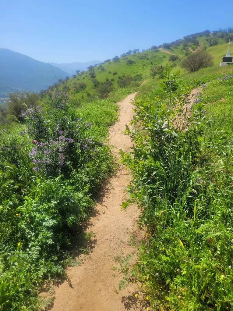 Parque San Mateo