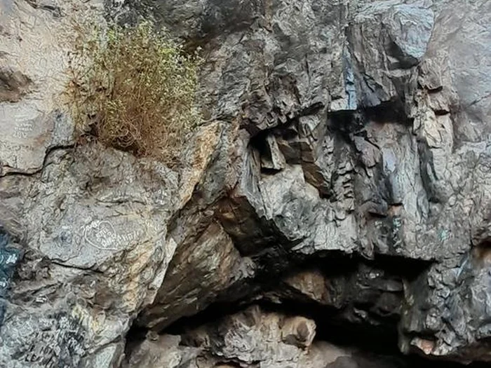 Pared de roca con una cavidad en el sendero de la Mina del Agua, Curacaví