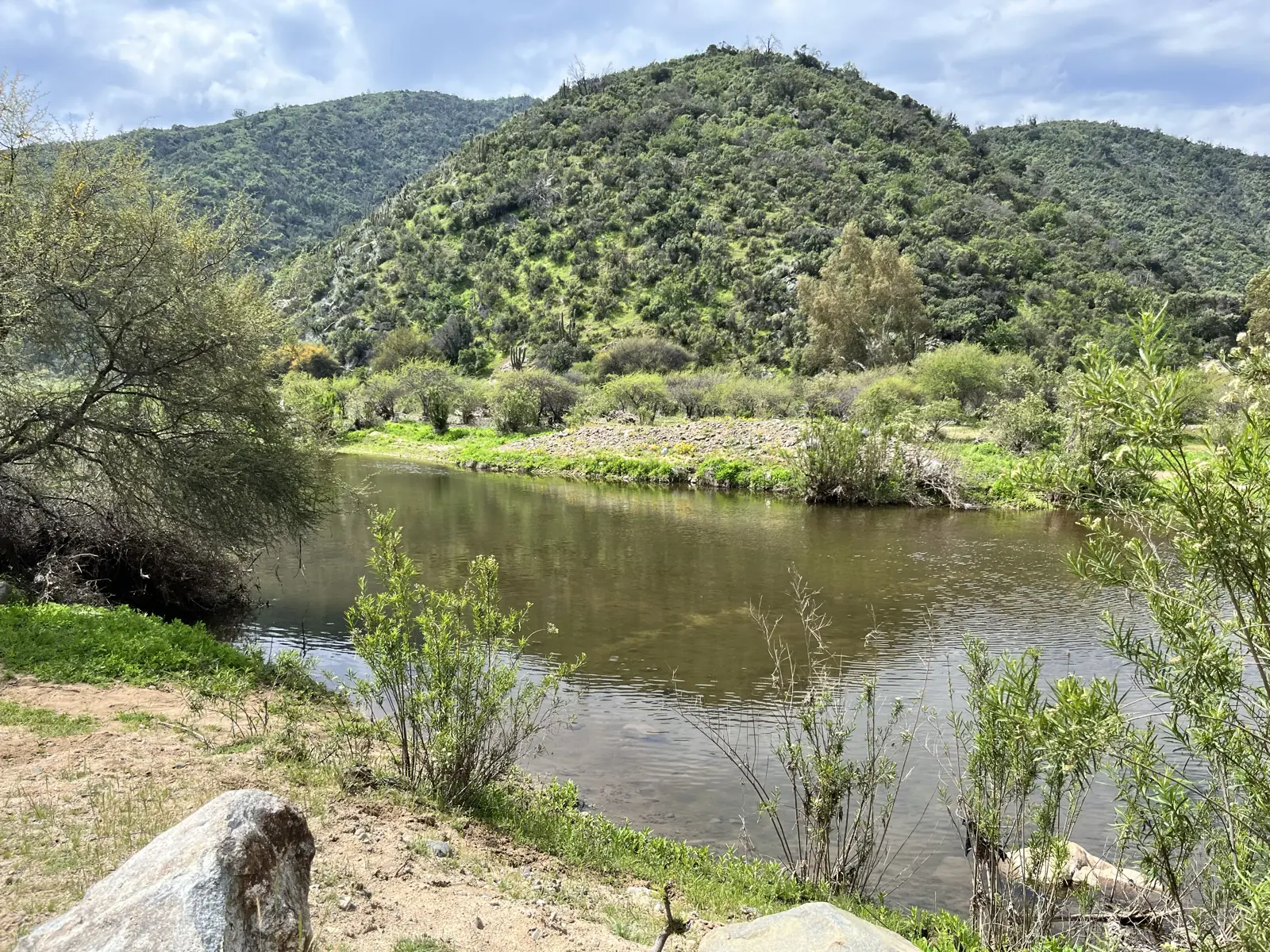 Remanso del río Puangue con un cerro cubierto de matorral nativo al fondo y una roca grande en la orilla