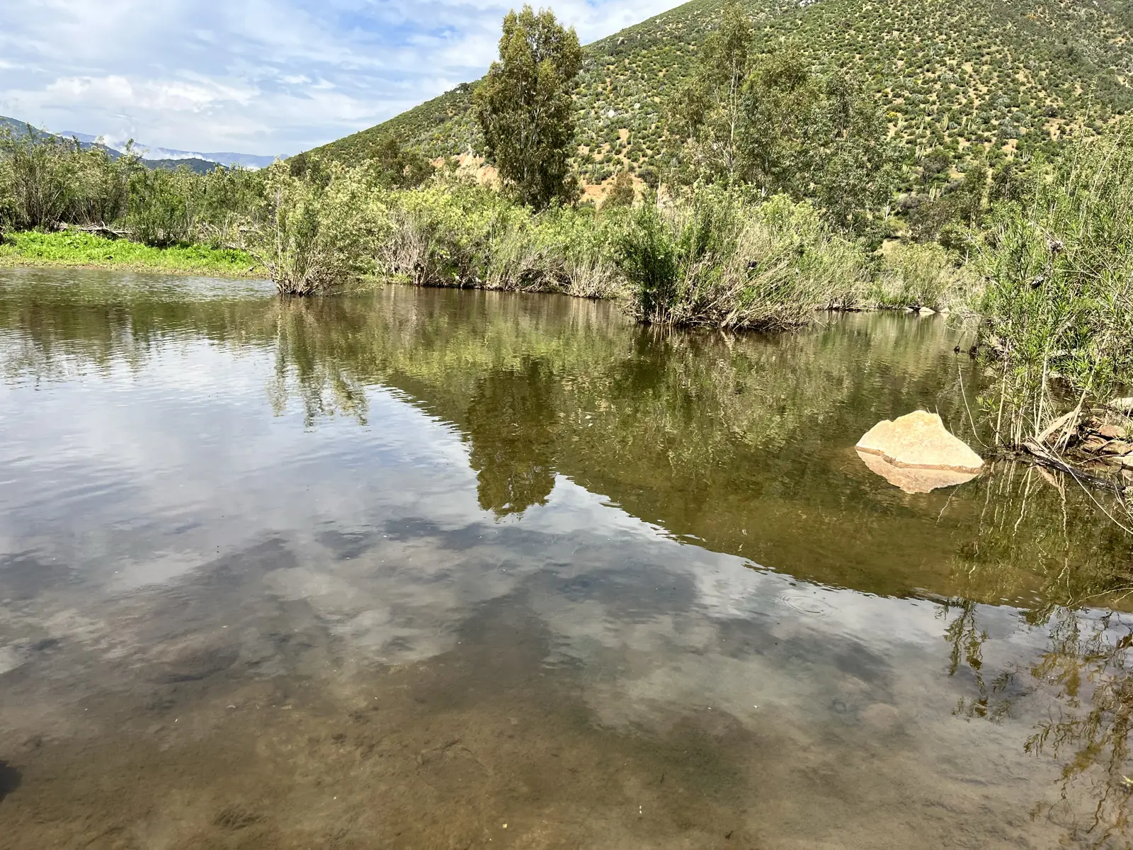 Aguas tranquilas de la poza que reflejan el cielo, con juncos y una roca dentro del agua